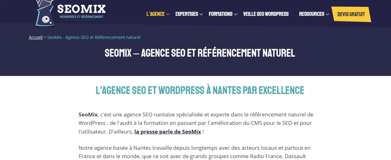 SeoMix
